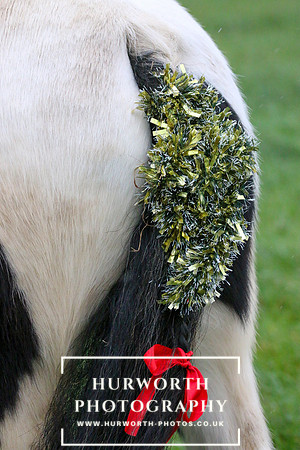 Huworth Hunt 39