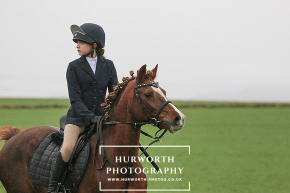 Huworth Hunt 195