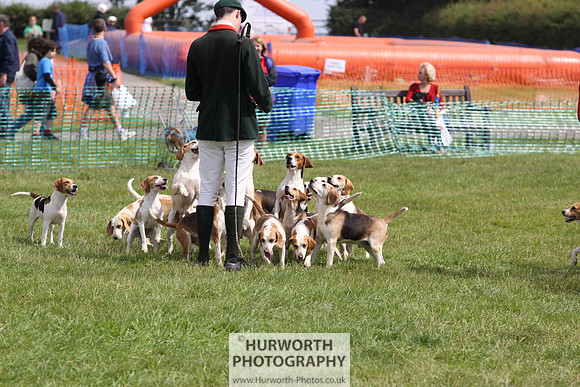 Sedgefield Game Fair 241