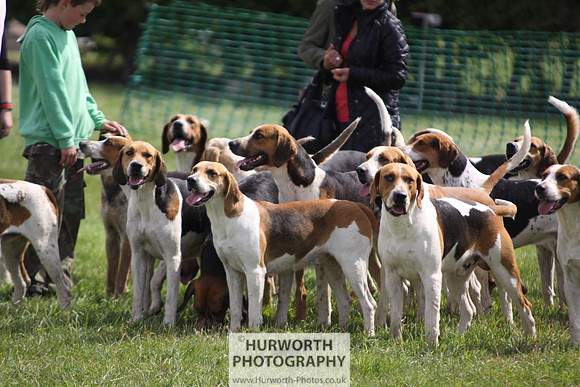 Sedgefield Game Fair 136