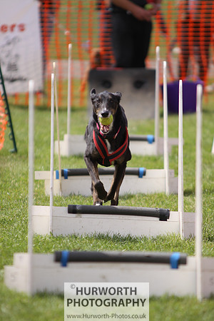 Sedgefield Game Fair 122