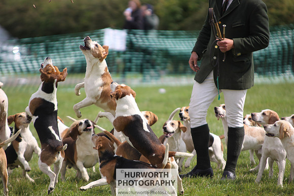 Sedgefield Game Fair 222