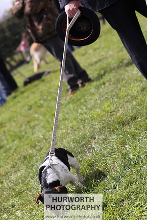 Sedgefield Game Fair 091