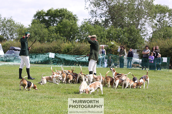 Sedgefield Game Fair 195