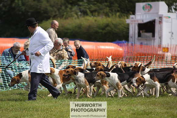 Sedgefield Game Fair 152