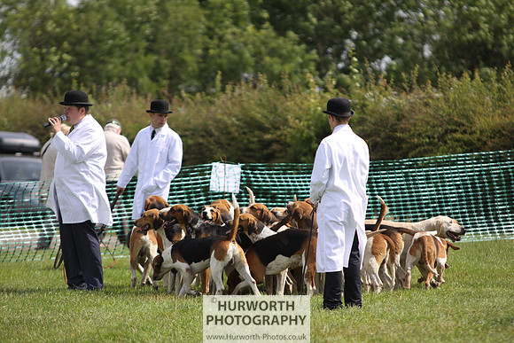 Sedgefield Game Fair 151