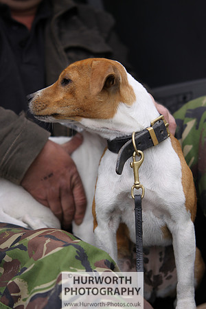 Sedgefield Game Fair 043