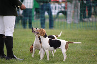 Sedgefield Game Fair 016