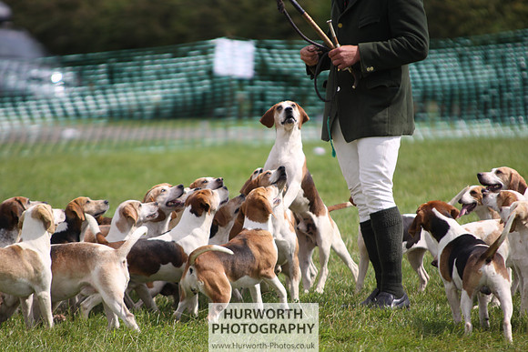 Sedgefield Game Fair 217