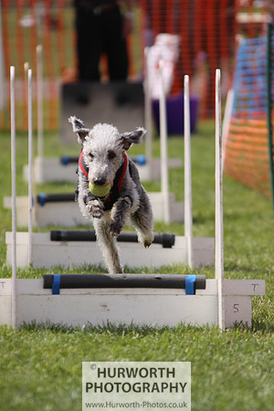 Sedgefield Game Fair 108