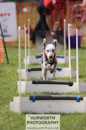 Sedgefield Game Fair 101