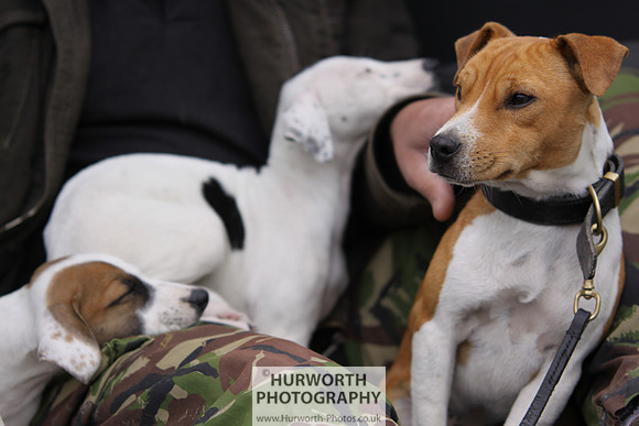 Sedgefield Game Fair 046