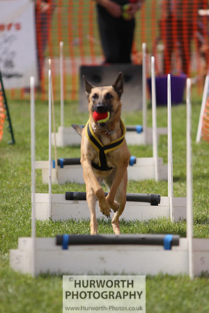 Sedgefield Game Fair 121