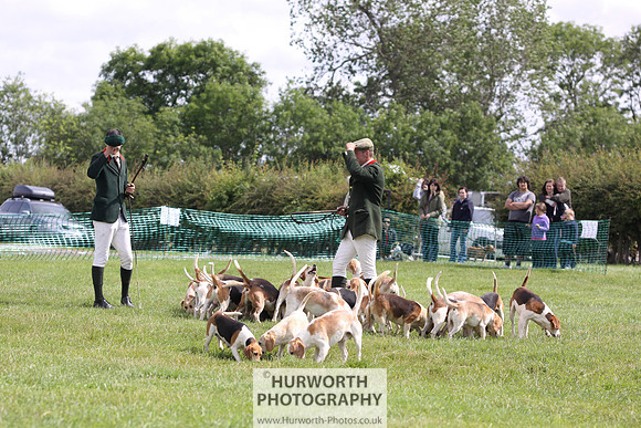 Sedgefield Game Fair 196