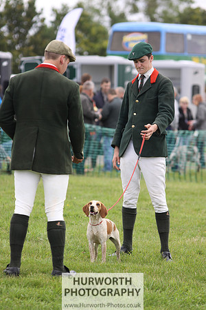 Sedgefield Game Fair 038