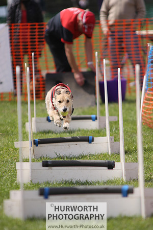 Sedgefield Game Fair 098