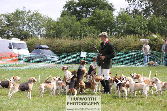 Sedgefield Game Fair 216
