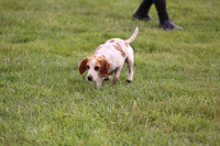Sedgefield Game Fair 006