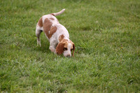 Sedgefield Game Fair 009
