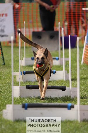 Sedgefield Game Fair 120