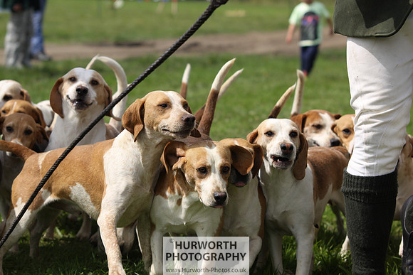 Sedgefield Game Fair 185