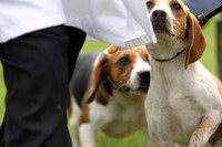 Sedgefield Game Fair 012