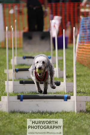 Sedgefield Game Fair 107