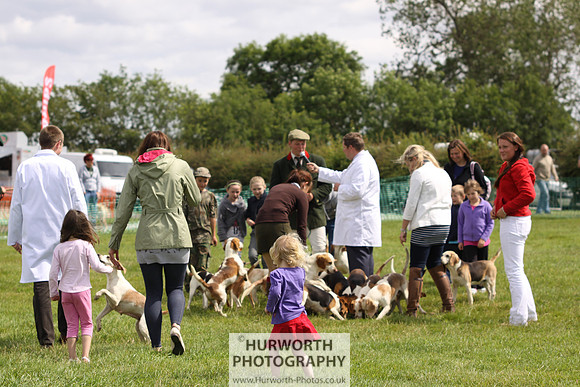 Sedgefield Game Fair 228