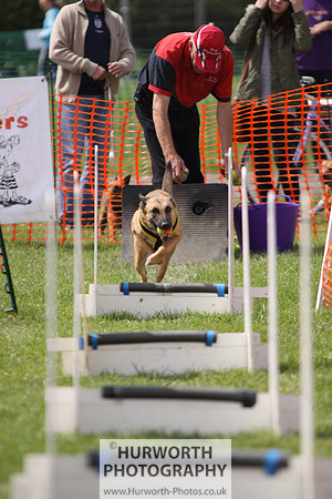 Sedgefield Game Fair 123