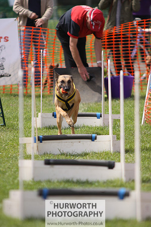 Sedgefield Game Fair 125