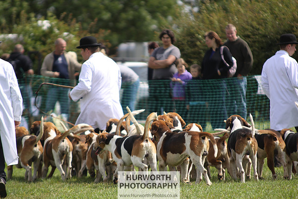 Sedgefield Game Fair 150