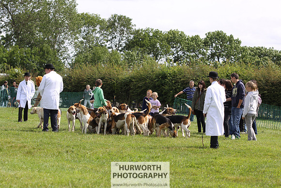 Sedgefield Game Fair 145