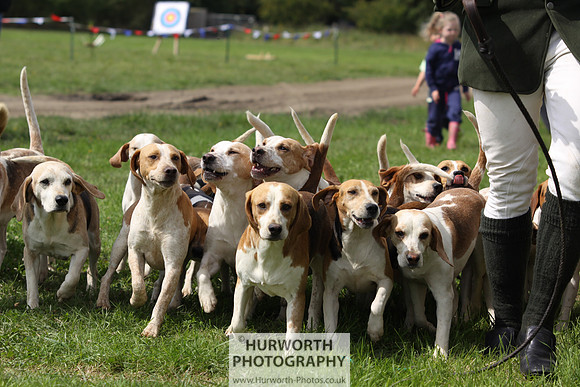 Sedgefield Game Fair 183