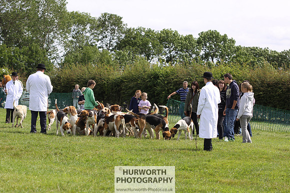 Sedgefield Game Fair 146