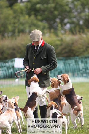 Sedgefield Game Fair 226
