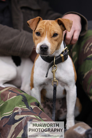 Sedgefield Game Fair 042