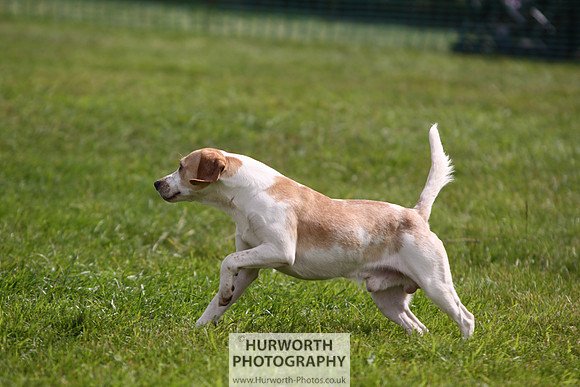 Sedgefield Game Fair 251
