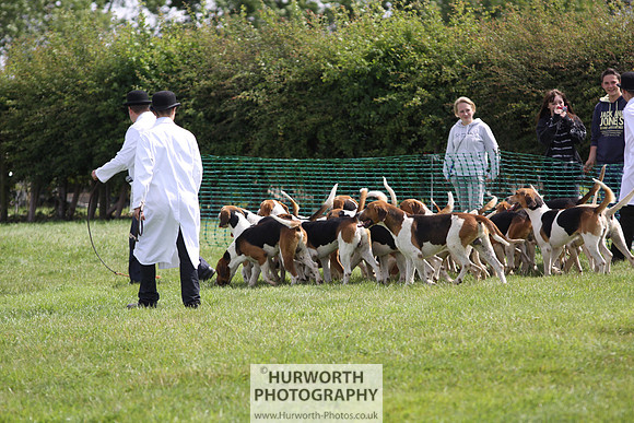 Sedgefield Game Fair 164