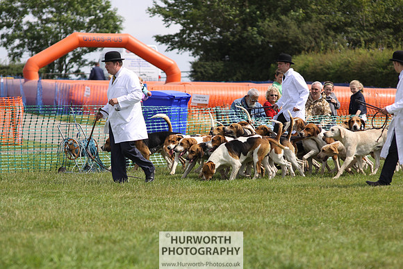 Sedgefield Game Fair 153
