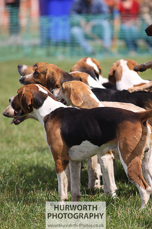 Sedgefield Game Fair 135