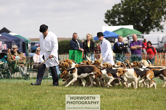 Sedgefield Game Fair 155