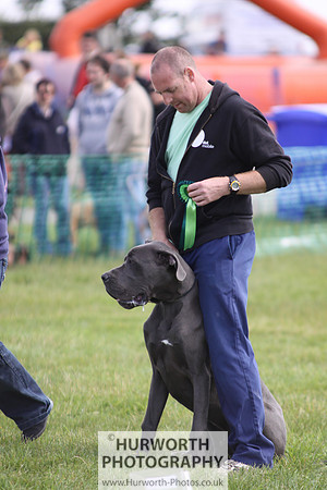Sedgefield Game Fair 081