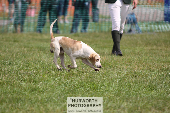 Sedgefield Game Fair 233