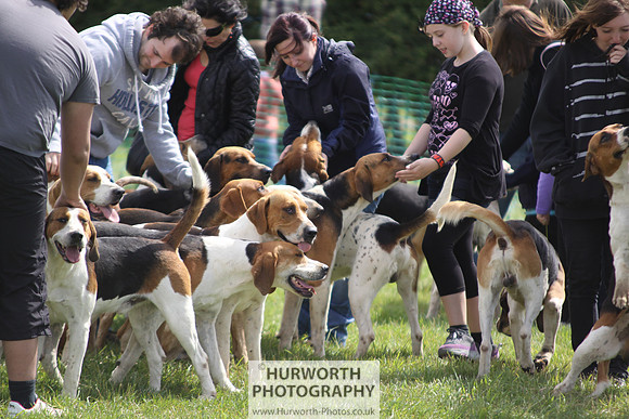 Sedgefield Game Fair 129