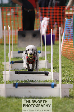 Sedgefield Game Fair 105
