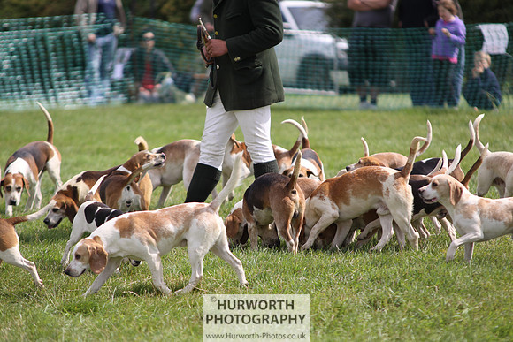 Sedgefield Game Fair 201