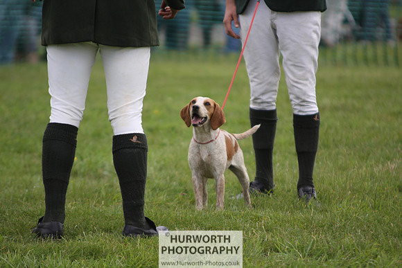Sedgefield Game Fair 039