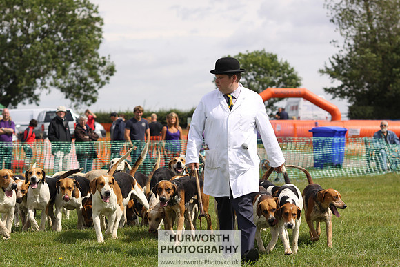 Sedgefield Game Fair 169