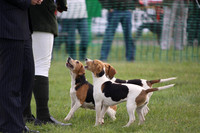 Sedgefield Game Fair 015