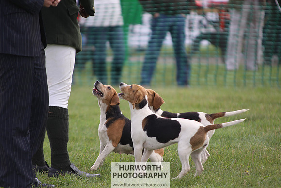 Sedgefield Game Fair 015